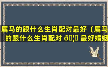 属马的跟什么生肖配对最好（属马的跟什么生肖配对 🦊 最好婚姻）